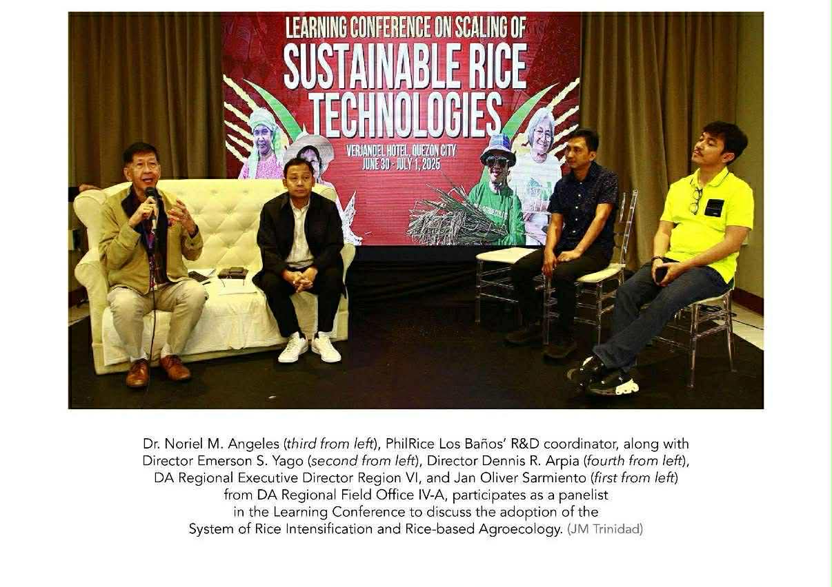 Learning Conference on Scaling of Sustainable Rice Technologies