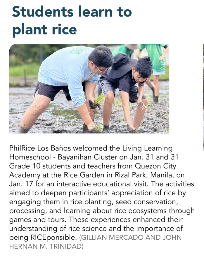 Students learn to plant rice
