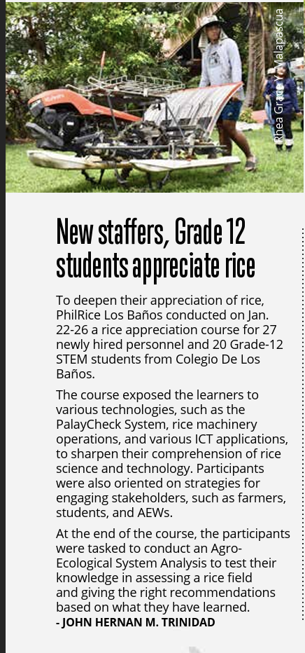 New staffers, Grade 12 students appreciate rice